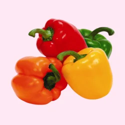 Add-a-subheading-250-x-250-px-26