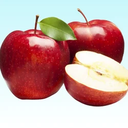 Add-a-subheading-250-x-250-px-38