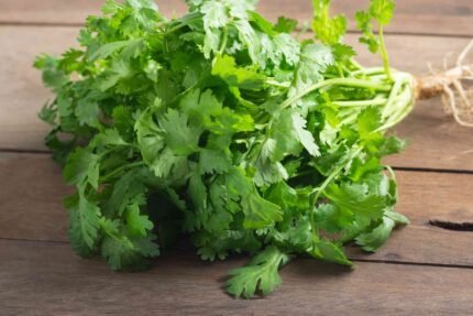 Coriander , Dhaniya ( धिनया )-1kg